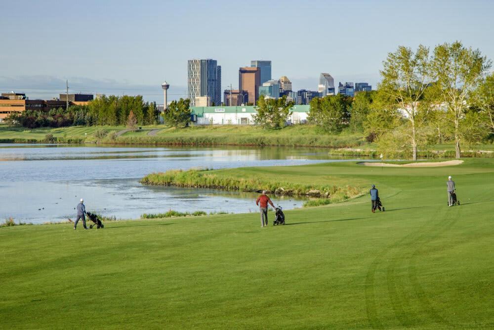 New! 3br Family W Yard - Sleeps 8, Free Banff Pass, Wine, Netflix & Parking! Large Group Option, Ask Us! Holiday home Calgary