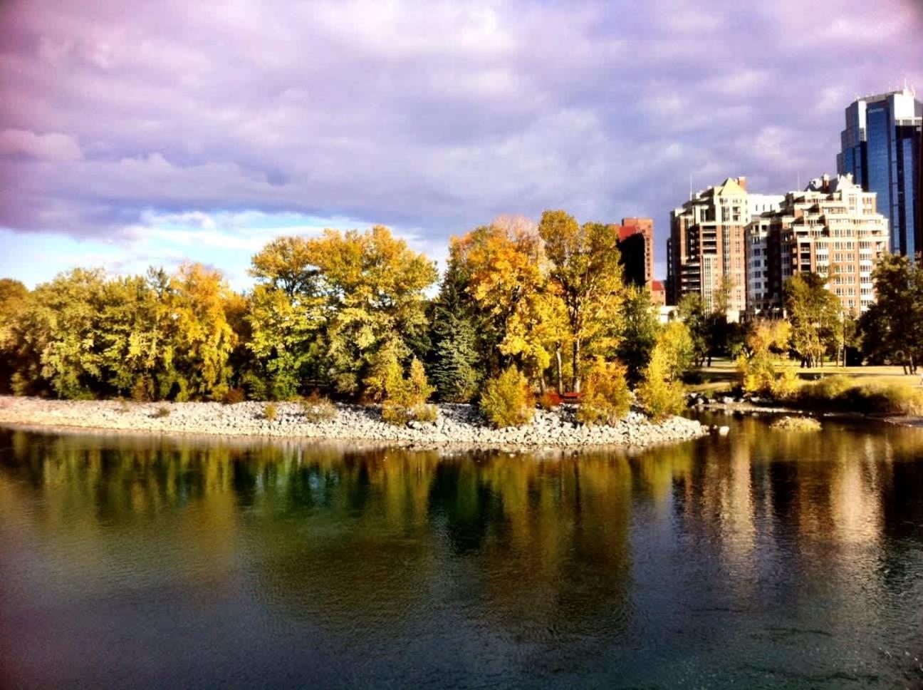 Holiday home New! 3br Family W Yard - Sleeps 8, Free Banff Pass, Wine, Netflix & Parking! Large Group Option, Ask Us! Calgary